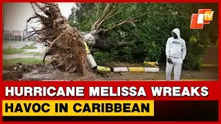 Melissa, Strongest Atlantic Hurricane Since 1999 Odisha Cyclone, Wreaks Havoc