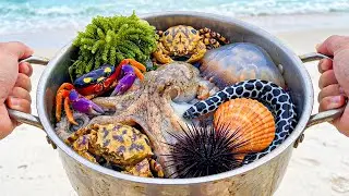 Ловля рыбы-фугу 🐡, ручной улитки 🐙, осьминога 🐚, крабов 🦀, морских гребешков 🐚, морских огурцов 🥒...