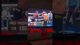 Canelo vs Crawford live