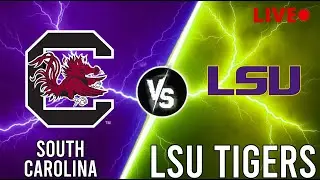 Temple Owls Vs Wichita State Shockers Live | NCAA Women's Basketball | PLAY BY PLAY | SCOREBOARD