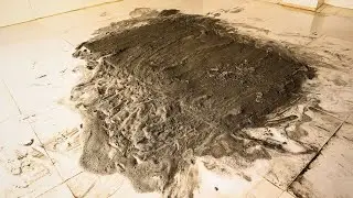 Muddy and dirty carpet? Look what magic we did!