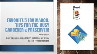 Favorite 5 Resources March 2025