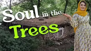 The Forest Cabin That Heals You | Nature Sounds & Soulful Reflections
