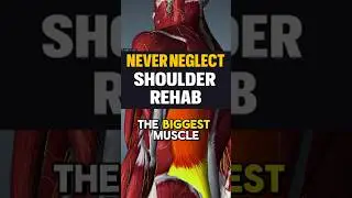 😱 This is the most neglected muscle