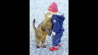 Menschen und Tiere.  12 Emotionale Momente- 2018