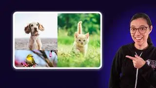 Coding Challenge: Build this bento grid | CSS Practice