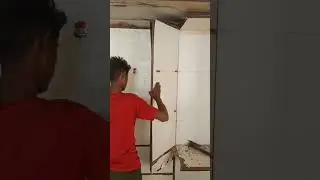 🤯 #pest #termitetreatment #vlog #termitespray #termitemanagement #chennai