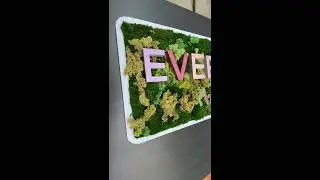 Custom Real Moss, Reception Logo, Moss Wall Art Logo, Moss Decor, Maintenance Free Moss