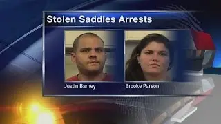 2 saddle theft suspects arrested
