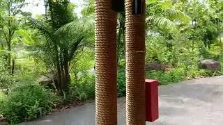 Walking Tour Newly Opened Mandai Wildlife Reserve Free Shuttle Bus To Khatib
