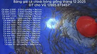 Kênh Ao21 đang có nhiều giống cá chình bông đủ size, giá tốt