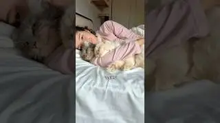 Cuddle time with a special guest today 🐱💖 #viral