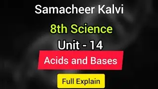 Acids and bases | Unit 14 | 8th Science | samacheer kalvi