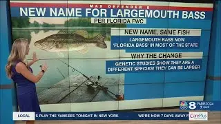 Reel Talk: Largemouth Bass now the Florida Bass