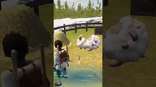 palworld rare easter egg 💀 #palworld #easteregg #crazy #hellnaw #pals #meme #memes
