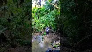 Hill tracking for reach waterfall with bathoria song. #waterfall #traking