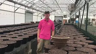 What&rsquo;s happening in the greenhouse 2020?
