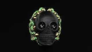 #oneofakind Wendy Brandes Memento Mori Skull Diamond, Onyx, Tsavorite Gold Statement Ring