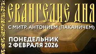 Толкование Евангелия с митр. Антонием (Паканичем). Понедельник, 2 февраля 2026 года.