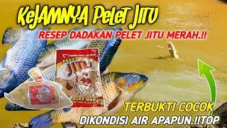 KEJAMNYA RESEP DADAKAN PELET JITU‼️RACIKAN UMPAN JITU MANCING IKAN MAS HARIAN