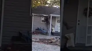 Dont Do It Yourself 🤣🤣🤣 #funnyshorts # funn #funny #diy #gutters
