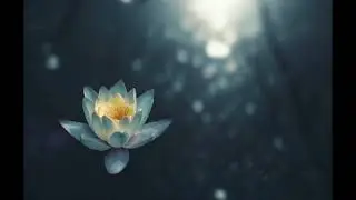 Yoga Tai Chi Meditation Delta Waves 432hz | Relaxing Music to Meditate, Deep Sleep, Channeling