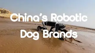 China&rsquo;s Robotic Dogs: From Industrial Tools to Household Partners