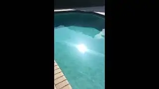 CircuPool TJ16 Typhoon Pre-Filter