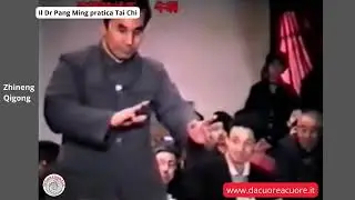Il Dr Pang Ming di Zhineng Qigong pratica Tai Chi