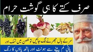 &lrm;Best Urdu Quotes | Golden Words  | Life-Changing Golden Words by AN Voice official &lrm;&lrm;&lrm;&lrm;&lrm;