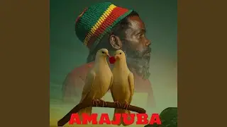 Vuka Africa