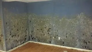 Expert Mold Remediation Toms River NJ (732)504-3743 NewJerseyMold.com