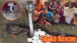 ઘરમાંથી સાપને Rescue કોઈ રીત કર્યો ||Snake Rescue village #minivlog