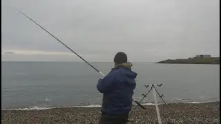 Holyhead Club Match - Cemlyn -  Anglesey Beach Fishing