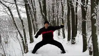 Dynamic Zen Meditation. My Zen practice