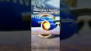 Planes Can't Survive Without Windows Right? 🤔 #aviation #edit #plane #crash