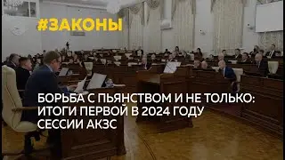 Продажа алкоголя, жилье для сирот и спасение пчел: депутаты АКЗС приняли ряд законов