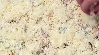 GastroHobbi I  Csirk&eacute;s t&eacute;szta csőben s&uuml;tve I Pasta with chicken au gratin