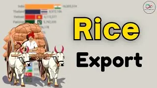 World's Top 5 Milled Rice Exporting Countries 2025