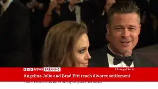 Angelina Jolie & Brad Pitt's Celebrity Divorce Settlement Explained by Christopher C. Melcher