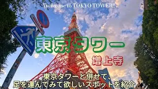東京タワーの夜景と施設紹介 | 芝公園・増上寺散歩 | 10月