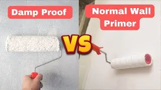 Damp Proof Vs Normal Wall Primer