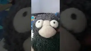welcome to the moz channel