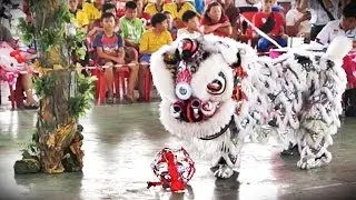 Yu Hua Secondary School lion dance - 7.91 (11th)