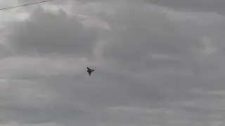 Newcastle festival of flight 2016