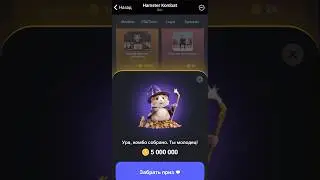 Новое комбо в #hamsterkombat в моем тг канале #airdrop #комбо