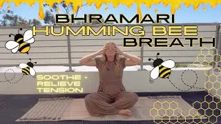 Bhramari Humming Bee Pranayama Breath Work Practice | Soothe Your Nervous System