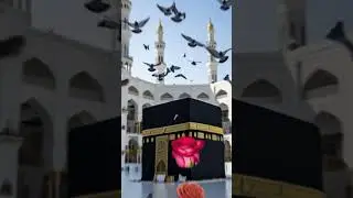 &ldquo;A Peaceful Islamic Reminder for the Heart | Emotional Spiritual Reflection&rdquo;
