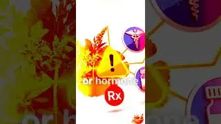 3 Herbal Safety Rules You Should Never Ignore