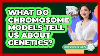 What Do Chromosome Models Tell Us About Genetics? - Genetic Wellness for Families